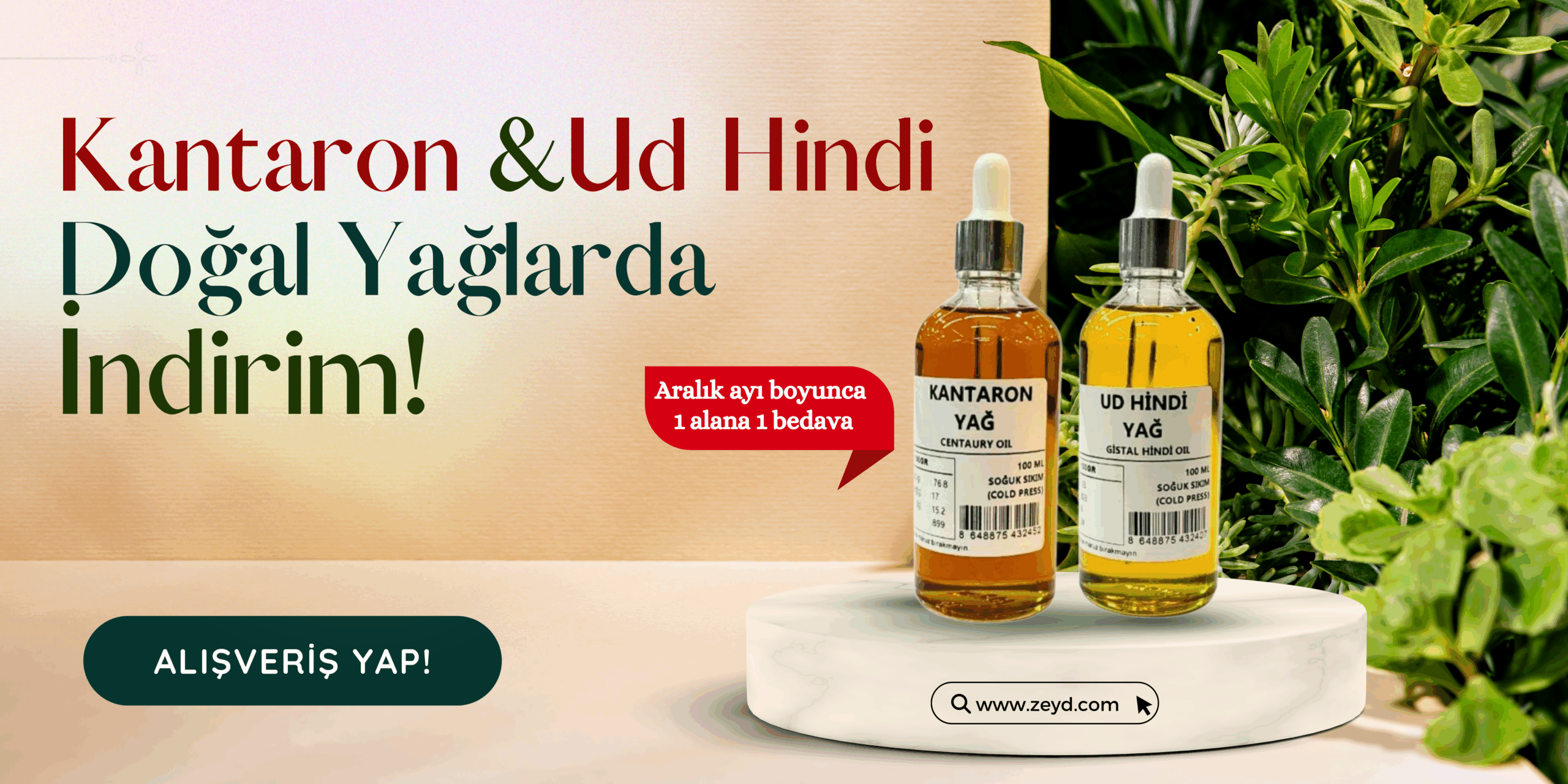 Gül Yağının Faydaları – Ana Sayfa Gül Yağının Faydaları – Ana Sayfa